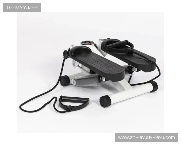 锻炼手臂线条的健身器材种类与训练方法